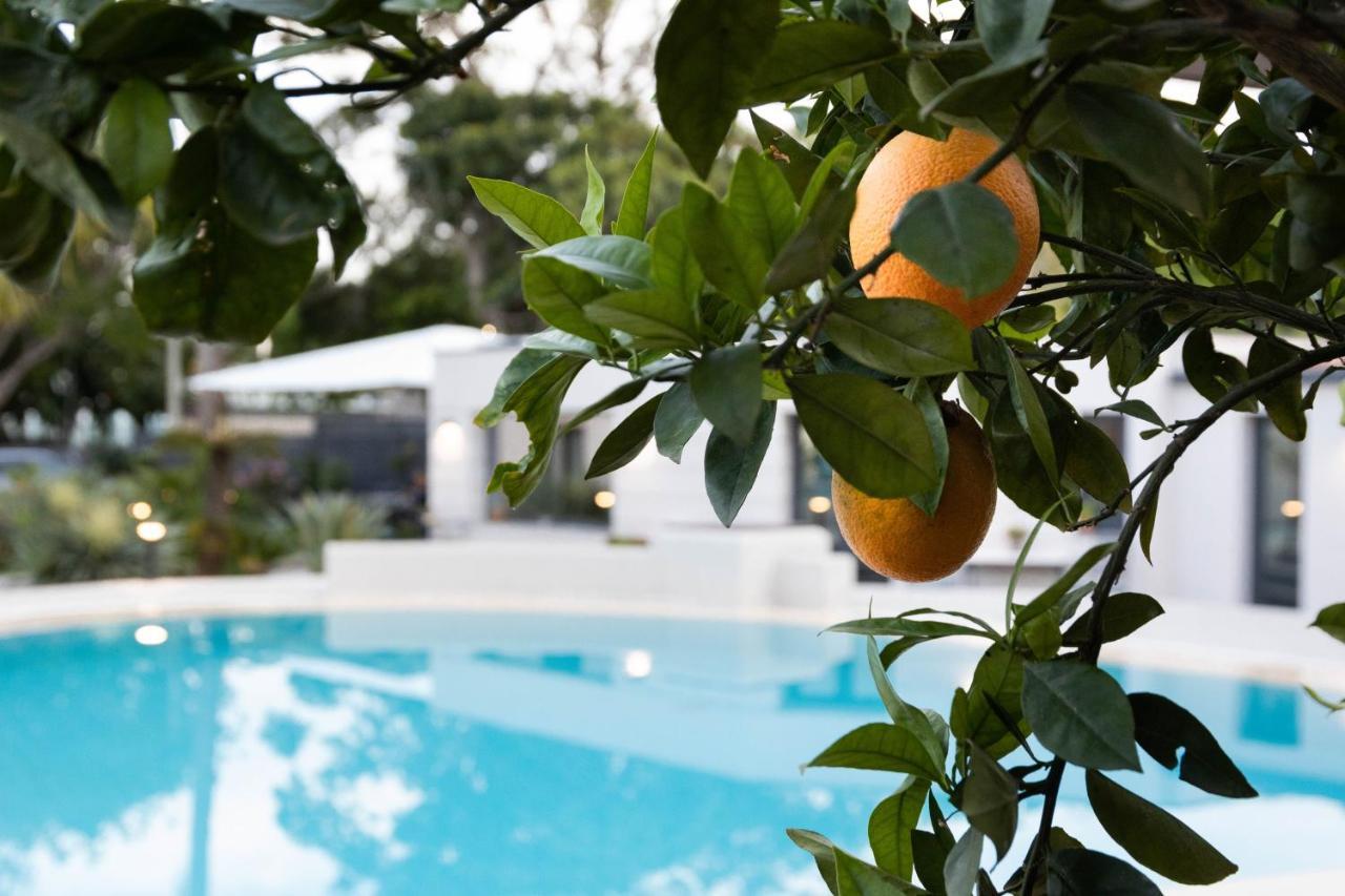 Villa Masetta - Luxury Suites Palermo Luaran gambar